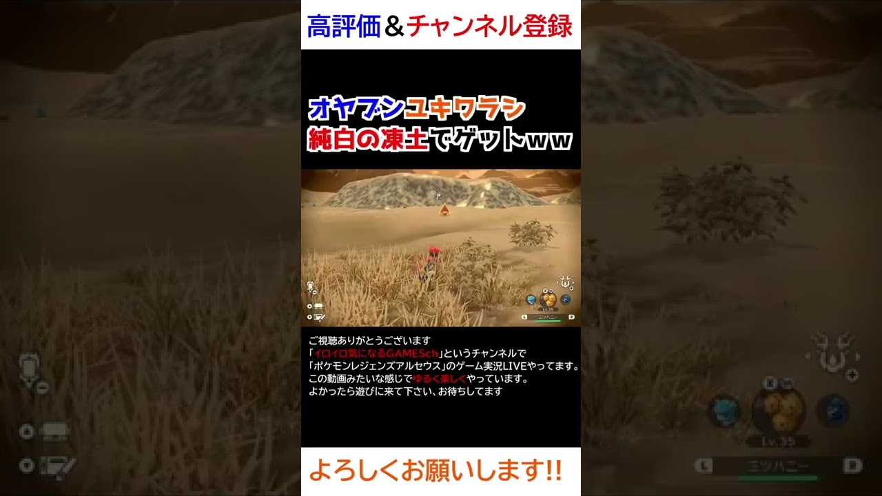 オヤブンユキワラシをゲット！！【Pokémon LEGENDS アルセウス】