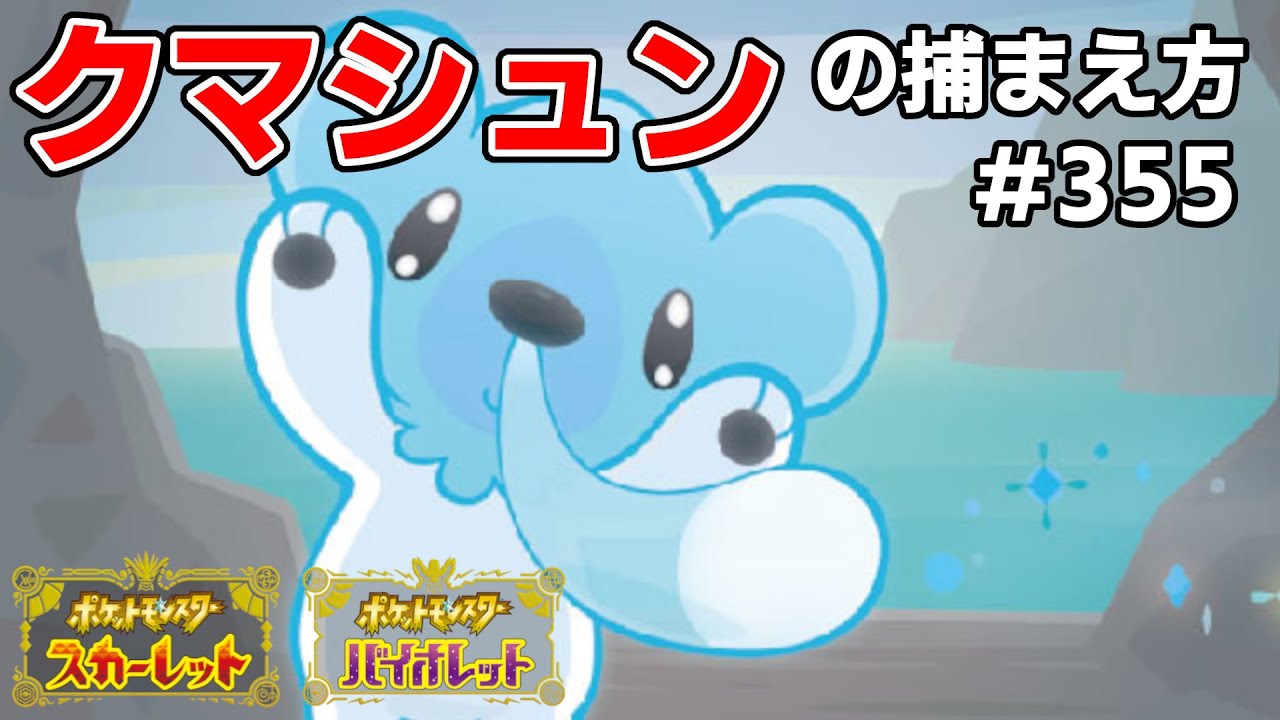 クマシュンを探している方に見てほしい動画