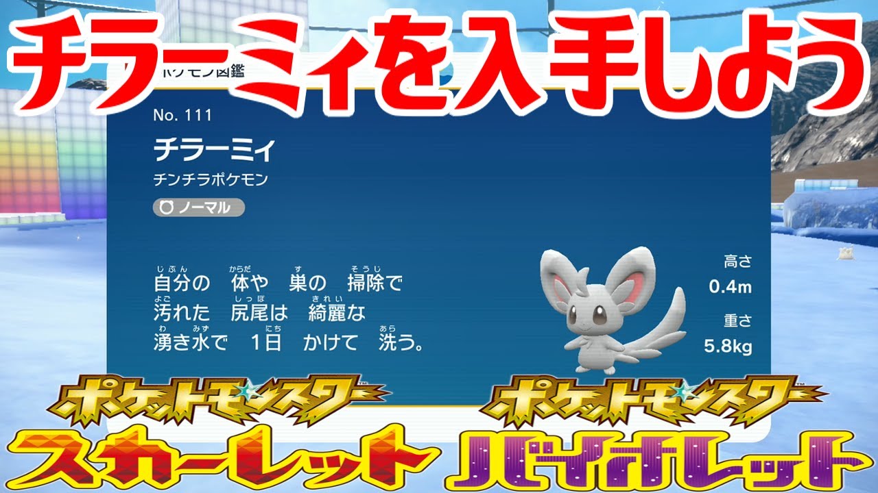 【ポケモンSV】チラーミィを入手しよう【ポケットモンスター スカーレット・バイオレット ゼロの秘宝 藍の円盤】Pocket Monsters