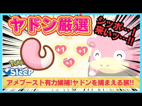【無課金厳選】アメブースト候補といえばコレ!?ヤドンのシッポ個体を探してシアンすやすやの世界へ〜＠シアンの砂浜【ポケモンスリープ】社畜OLの無課金ゲーム実況攻略記202312
