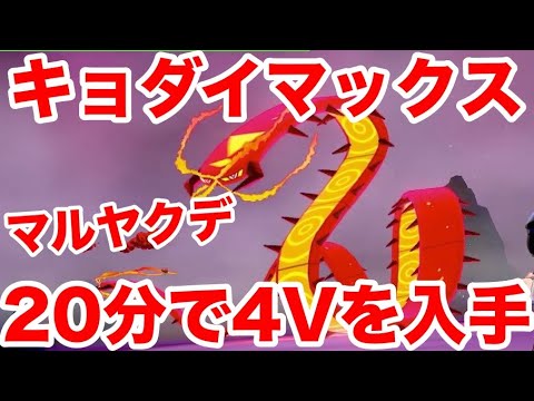 【ポケモンソード】キョダイマックスのすがた"マルヤクデ"の出現場所！最速20分で入手できる裏技を公開！高個体値4V以上を確定でゲットだぜ！【最新作の攻略実況プレイ】