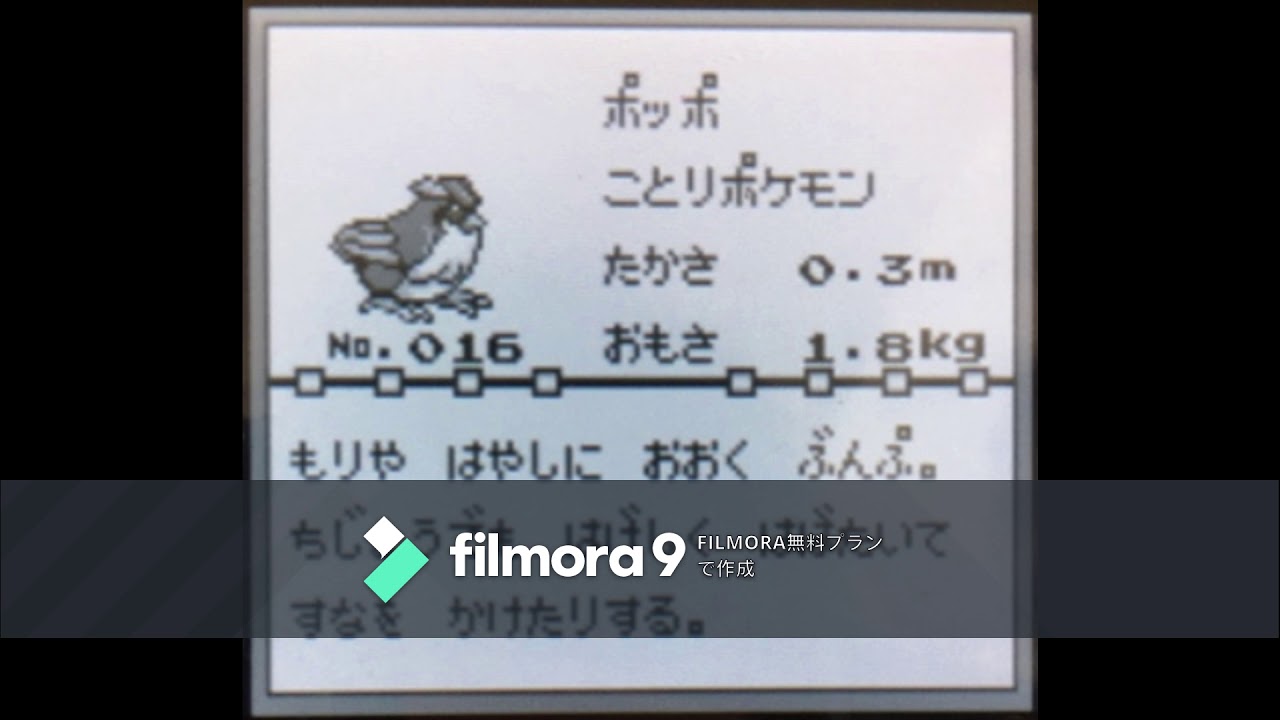 【図鑑NO016】ポッポ　鳴き声