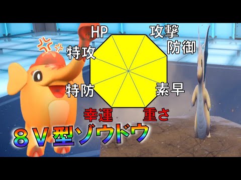 藍の円盤直前！８Ｖゾウドウ！？　進化前統一ランクマッチ　　パート75 [ポケモンSV]　#進化前縛り　#ゼロの秘宝