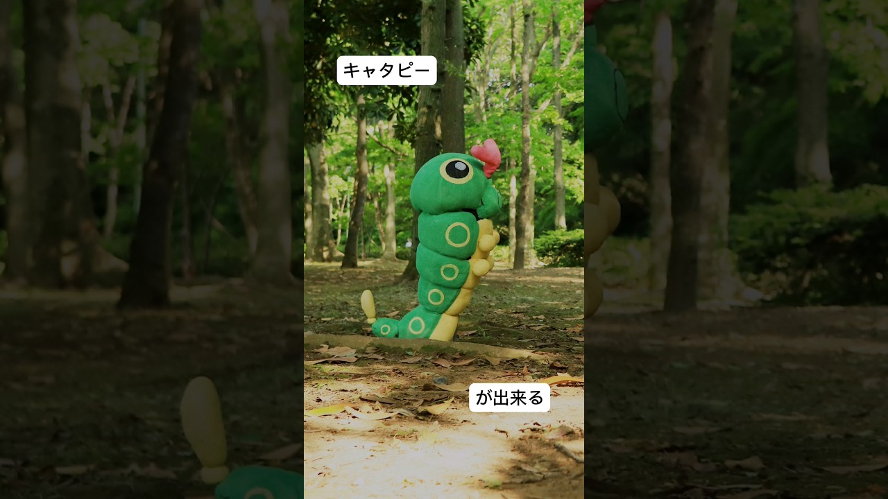 ポケモンのキャタピー作ってみた(ほぼ等身大)　#cosplay #コスプレ #ポケモン #キャタピー　#造形