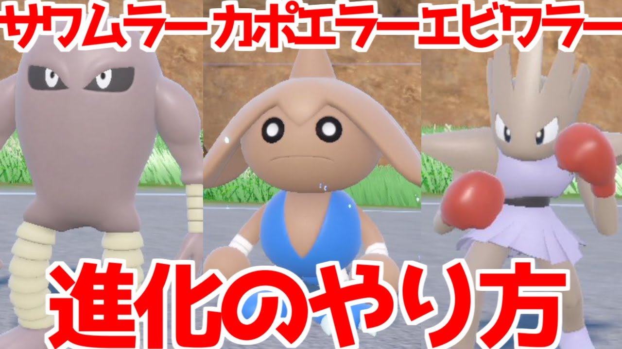 【ポケモンSV 藍の円盤】 バルキー エビワラー サワムラー カポエラー 出現場所 入手方法 進化方法  攻略【ポケモン スカーレット・バイオレット 】