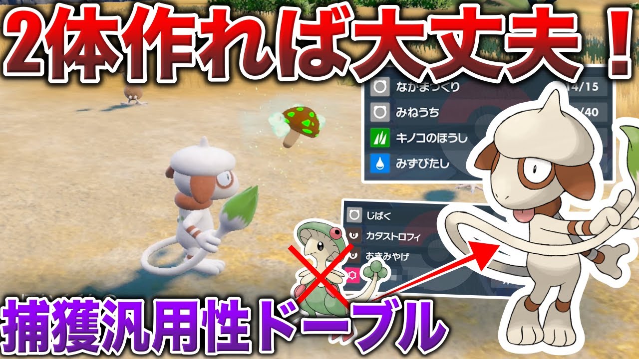 【捕獲/厳選の神】キノガッサから乗り換えも有り！！汎用性抜群のドーブル2体と作り方(育成方法)を検証して解説！！【ポケモンSV/藍の円盤】