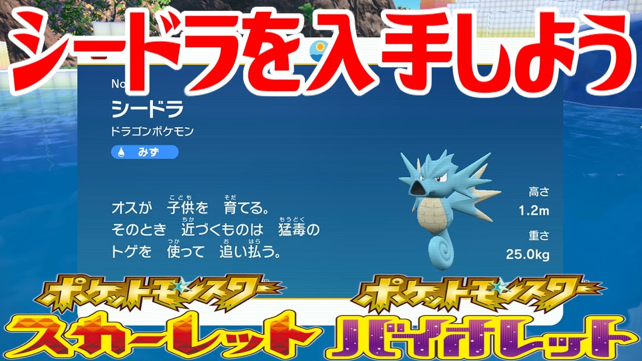 【ポケモンSV】シードラを入手しよう【ポケットモンスター スカーレット・バイオレット ゼロの秘宝 藍の円盤】Pocket Monsters