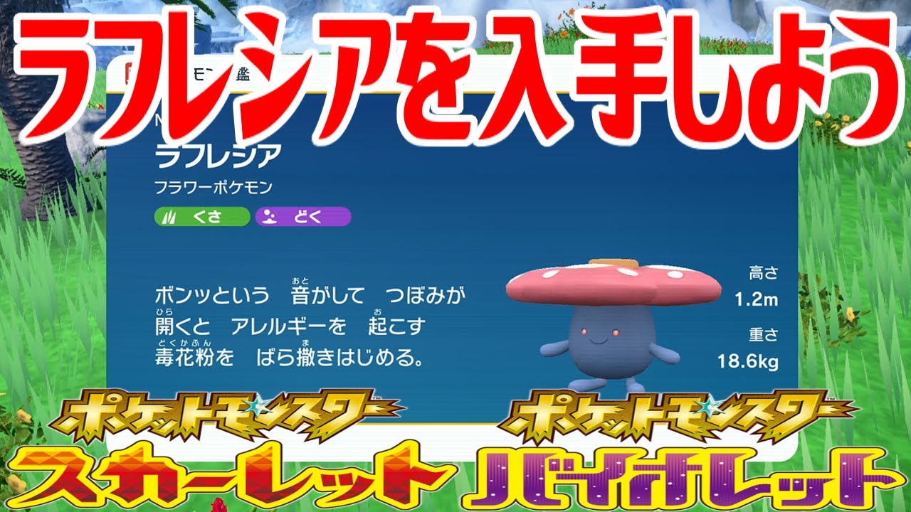 【ポケモンSV】ラフレシアを入手しよう【ポケットモンスター スカーレット・バイオレット ゼロの秘宝 藍の円盤】Pocket Monsters