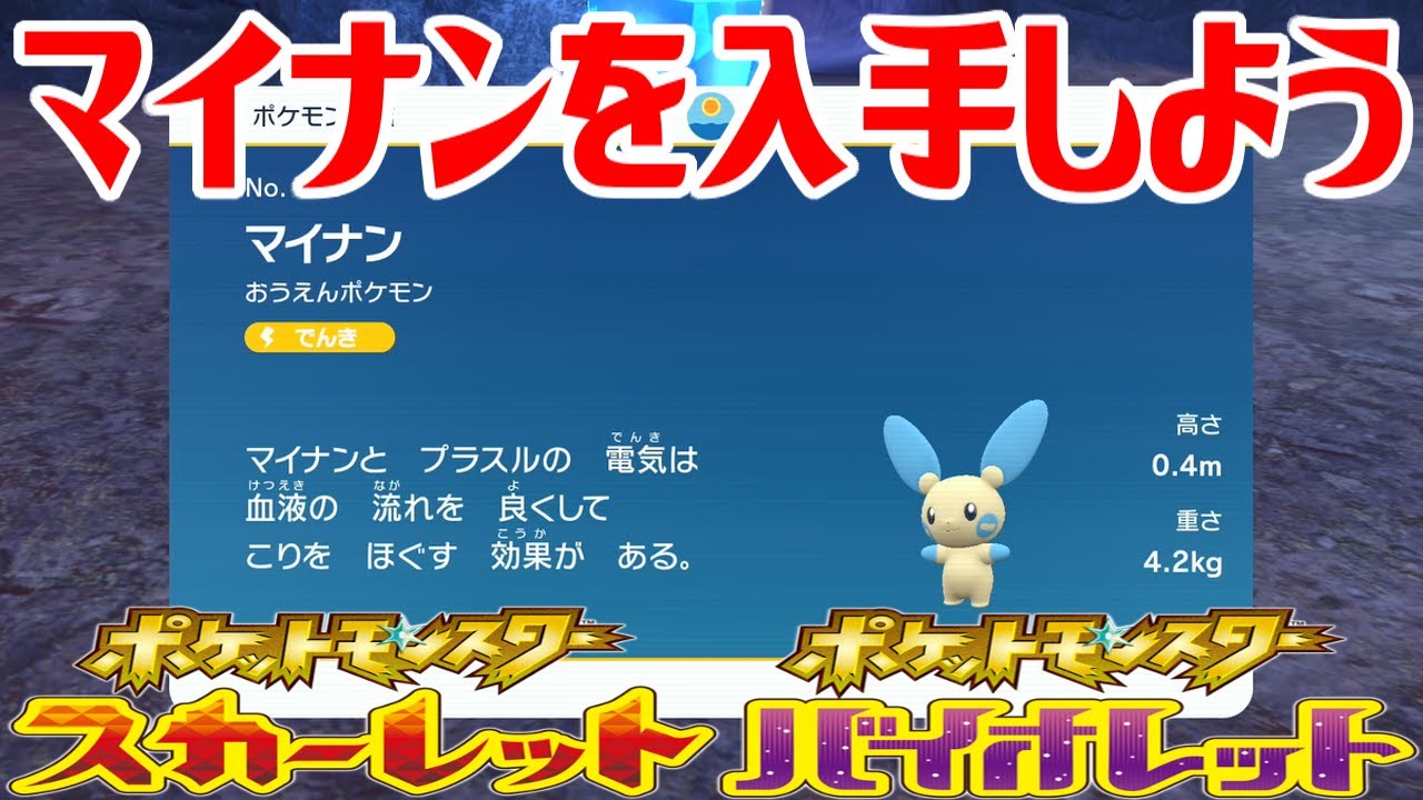 【ポケモンSV】マイナンを入手しよう【ポケットモンスター スカーレット・バイオレット ゼロの秘宝 藍の円盤】Pocket Monsters
