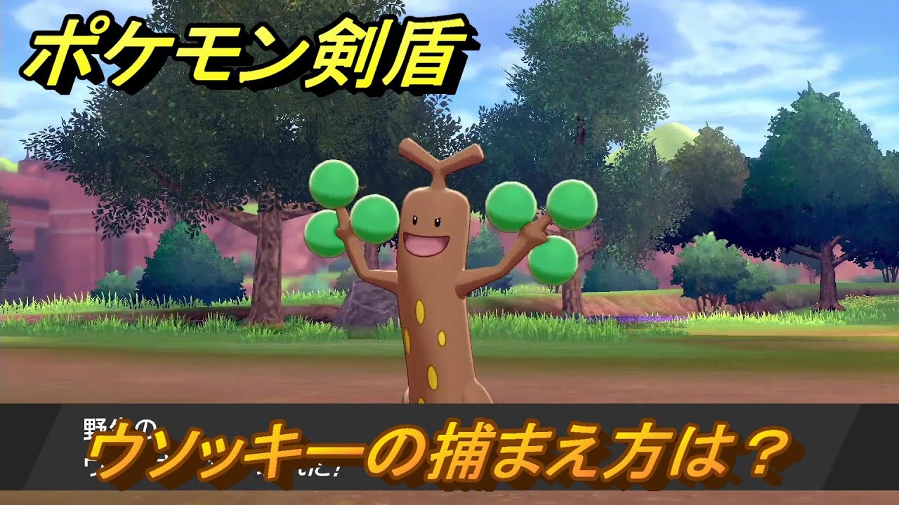 ポケモン剣盾　ウソッキーを捕まえる方法！オススメの場所は？天気は？ポケモン図鑑コンプへの道！　最新版【ポケモンソード・シールド】