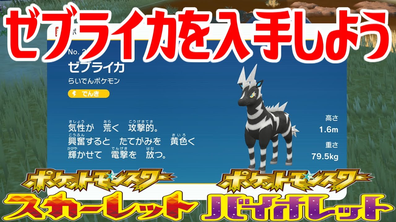 【ポケモンSV】ゼブライカを入手しよう【ポケットモンスター スカーレット・バイオレット ゼロの秘宝 藍の円盤】Pocket Monsters