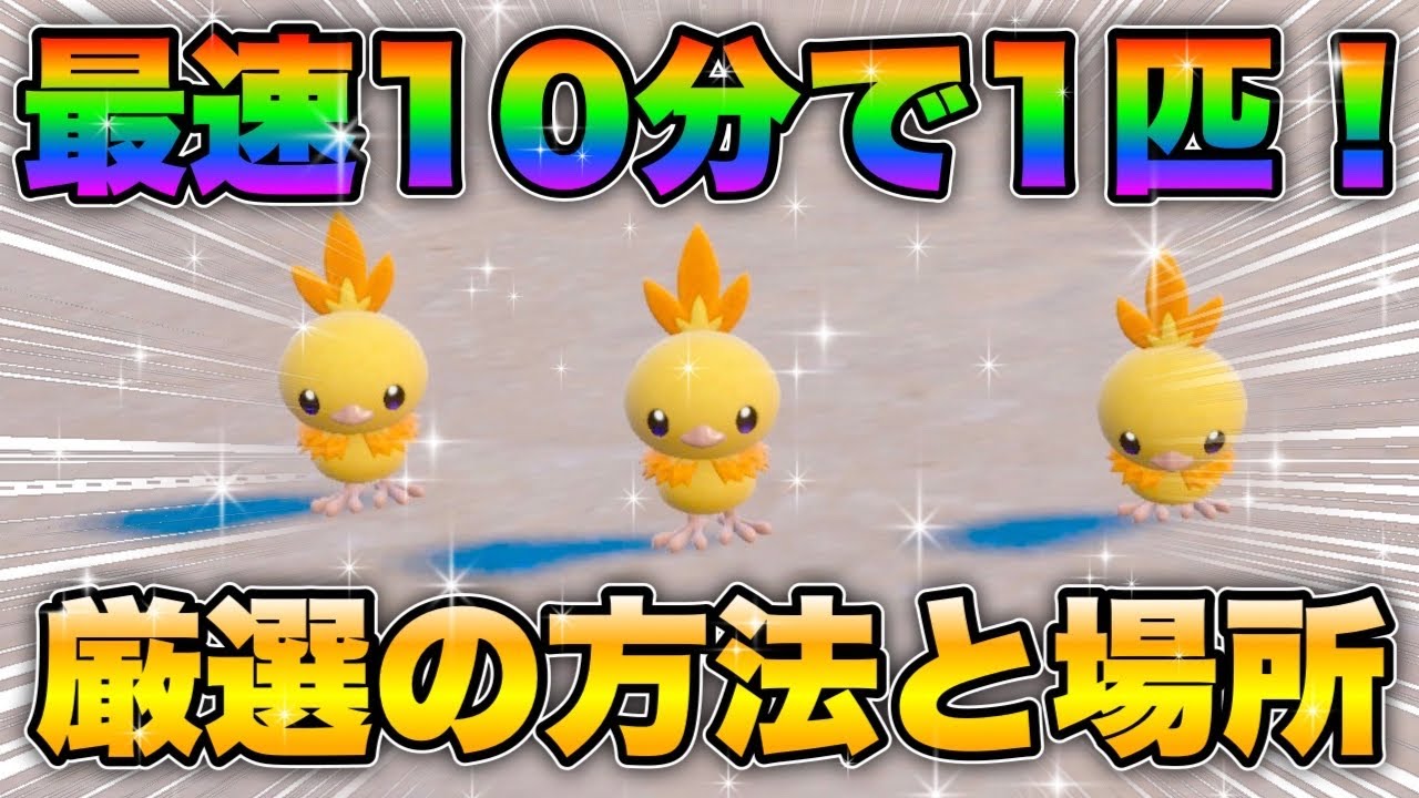 【ポケモンsv厳選】色違いアチャモの効率的な入手方法！