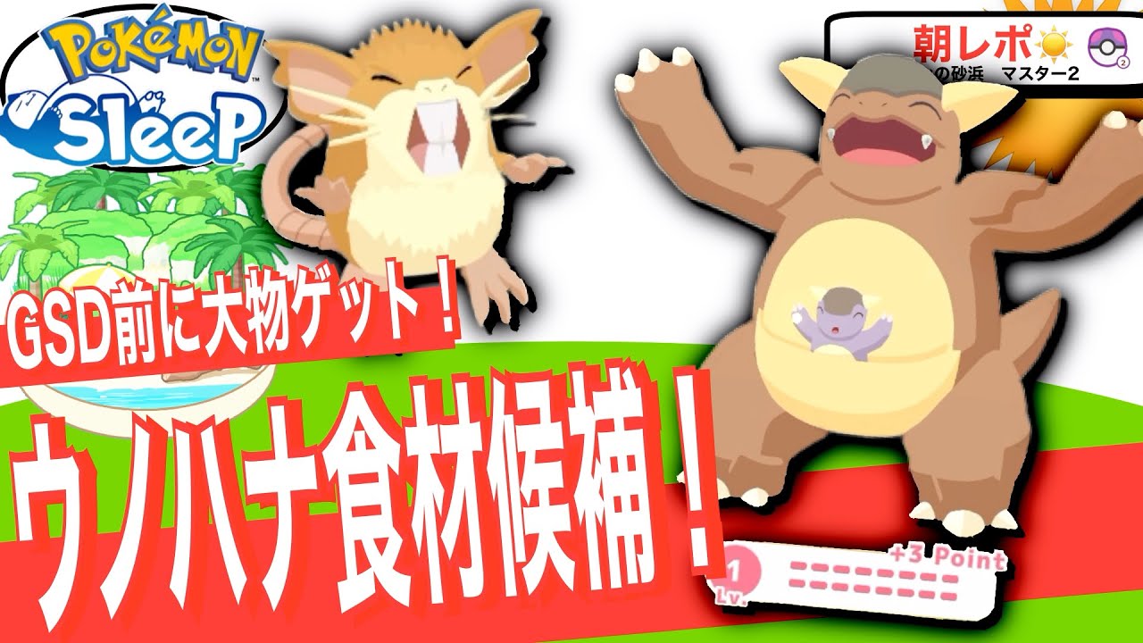 ついにガルーラゲット！スリープポイントの使い道どうしよう…【ポケモンスリープ】