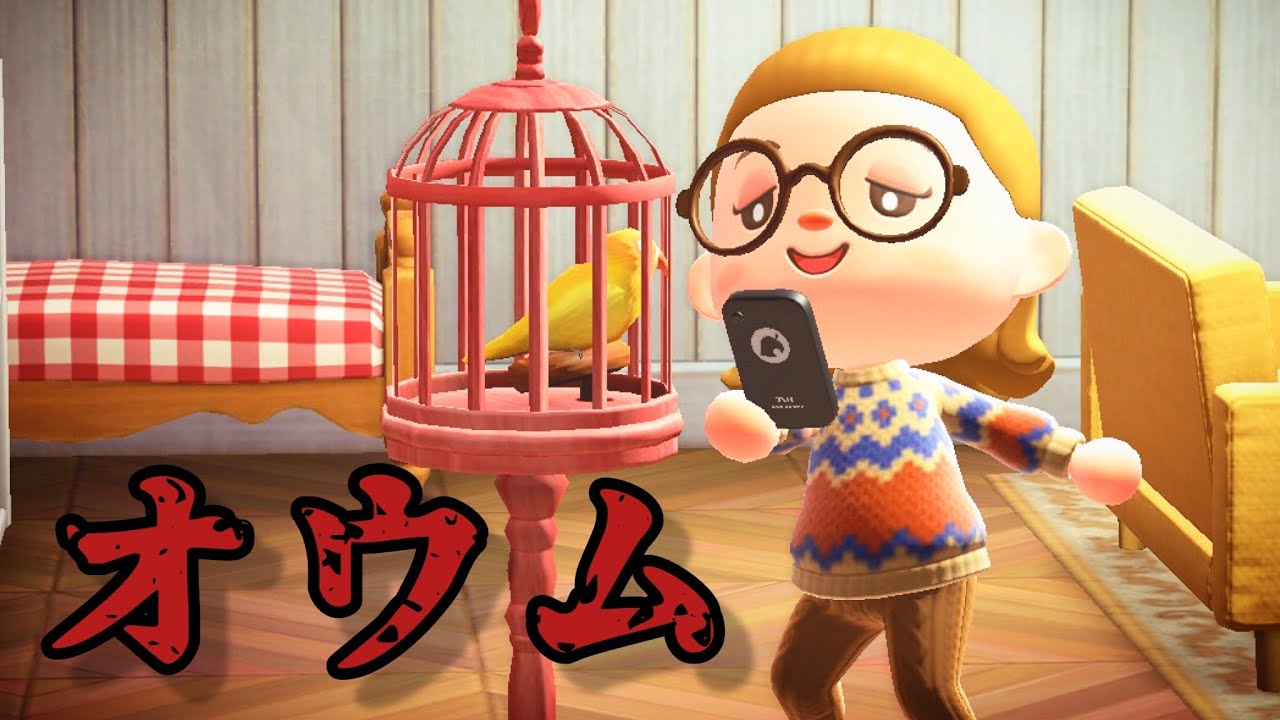 うちのピッピちゃんはすごく賢いの「意味が分かると怖い話、ホラー、リメイク」