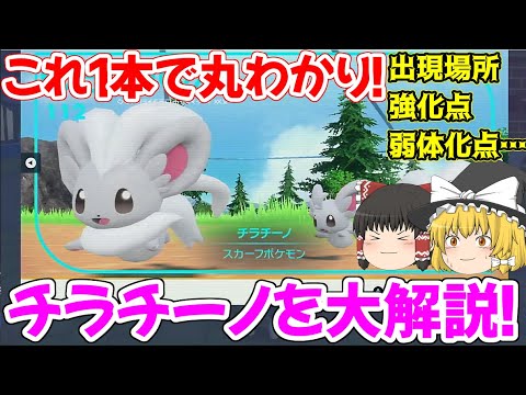 新技大量取得で歴代最強！？新内定チラチーノを徹底解説！【ポケモンSV】【ゆっくり解説】