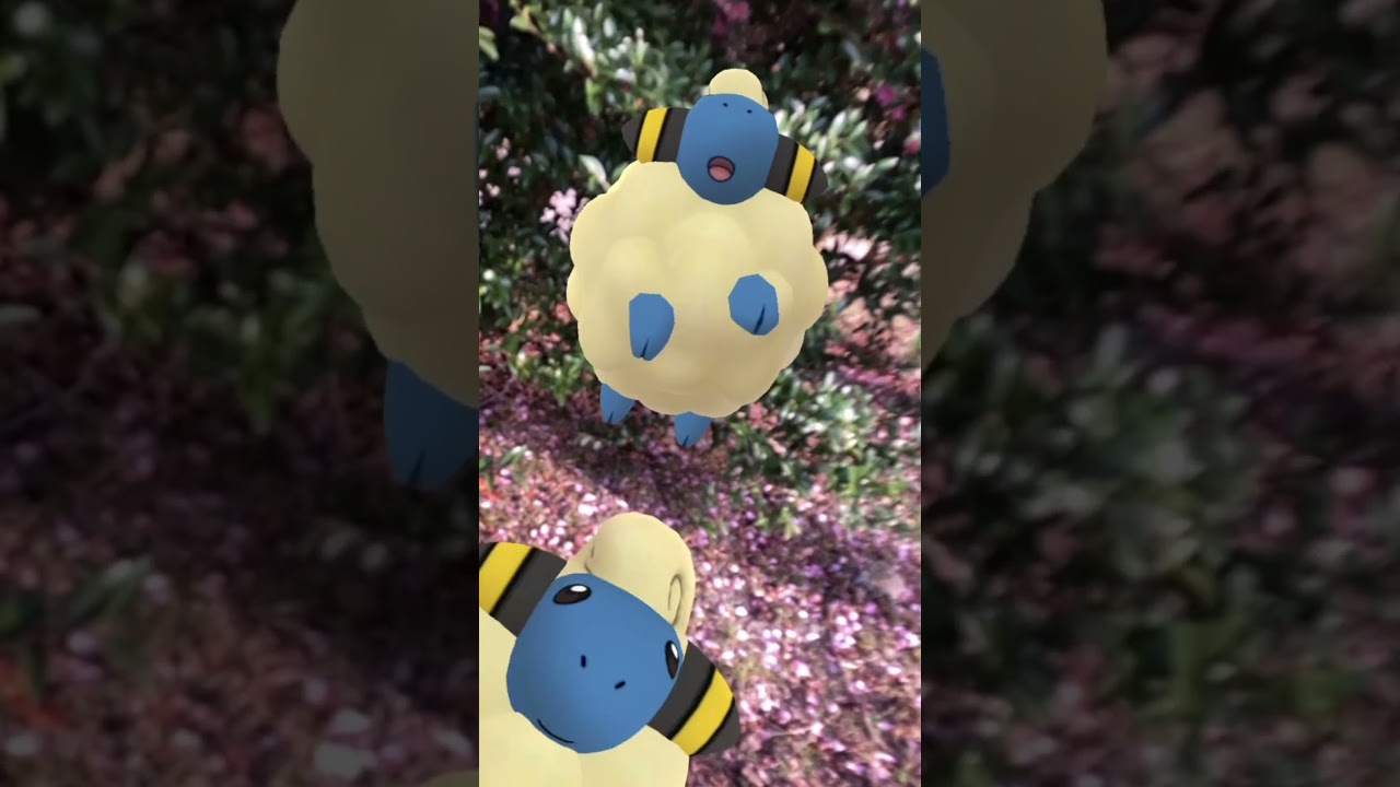 メリープ｜Mareep【ポケモンGO】PoKeMoN GO AR｜AR動画｜NianticAR｜GOsnapshot｜gophotobomb｜淡路島