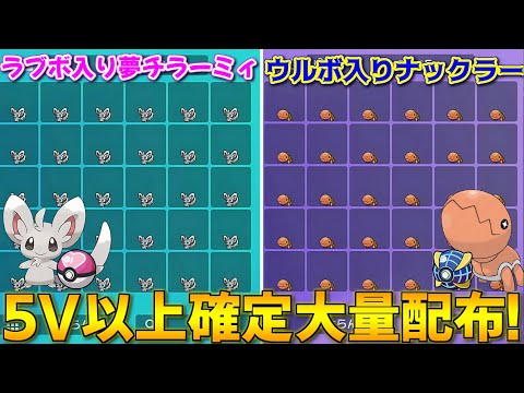 【新内定】ウルボ入りナックラー＆ラブボ入り夢チラーミィ大量配布生放送【ポケモンSV】