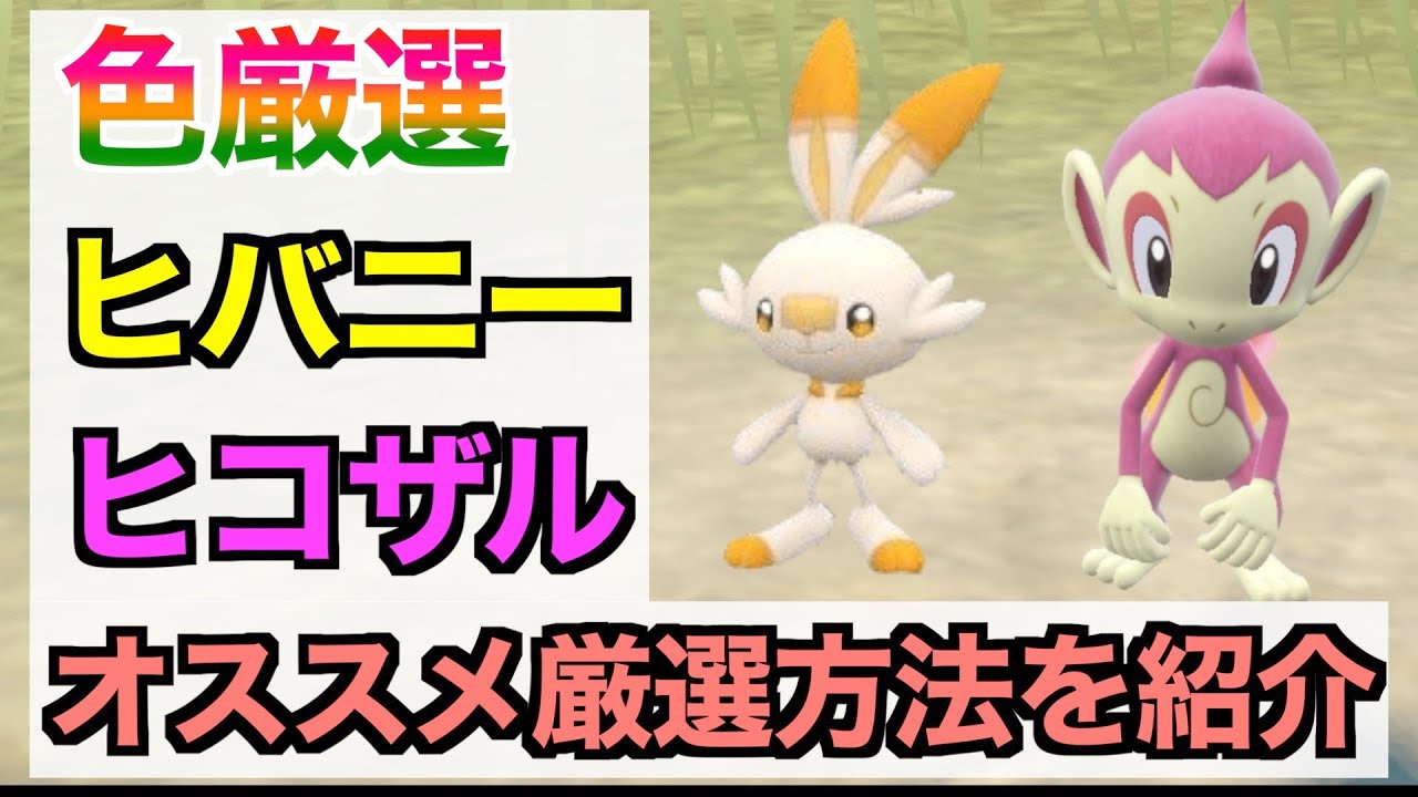 【ポケモンSV】色違いヒバニーとヒコザル同時厳選！出現場所とサンドイッチの作り方！色違い厳選方法紹介！【色違いポケモン】