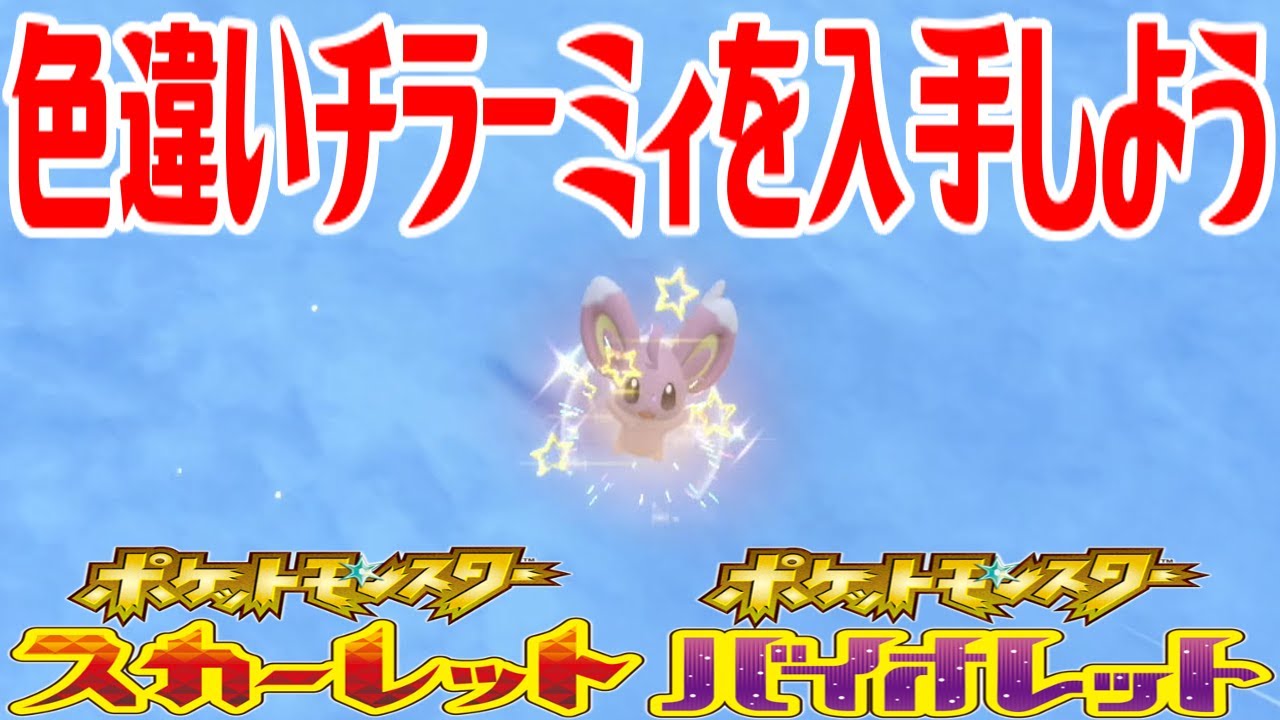 【ポケモンSV】色違いチラーミィを入手しよう【ポケットモンスター スカーレット・バイオレット ゼロの秘宝 藍の円盤】Pocket Monsters
