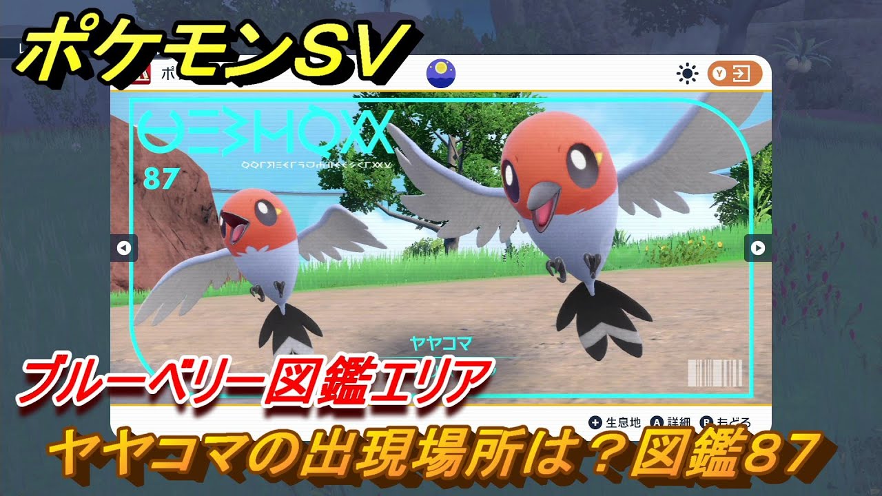ポケモンＳＶ　ヤヤコマの出現場所は？図鑑８７　ブルーベリー図鑑エリア　＃７３　【DLCゼロの秘宝　碧の仮面・藍の円盤】