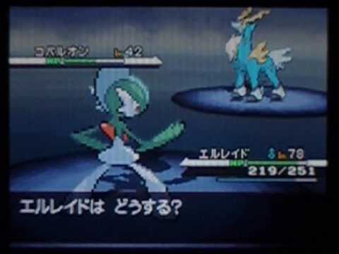 ポケットモンスターブラックホワイト コバルオン Pokemon Black White Cobalion