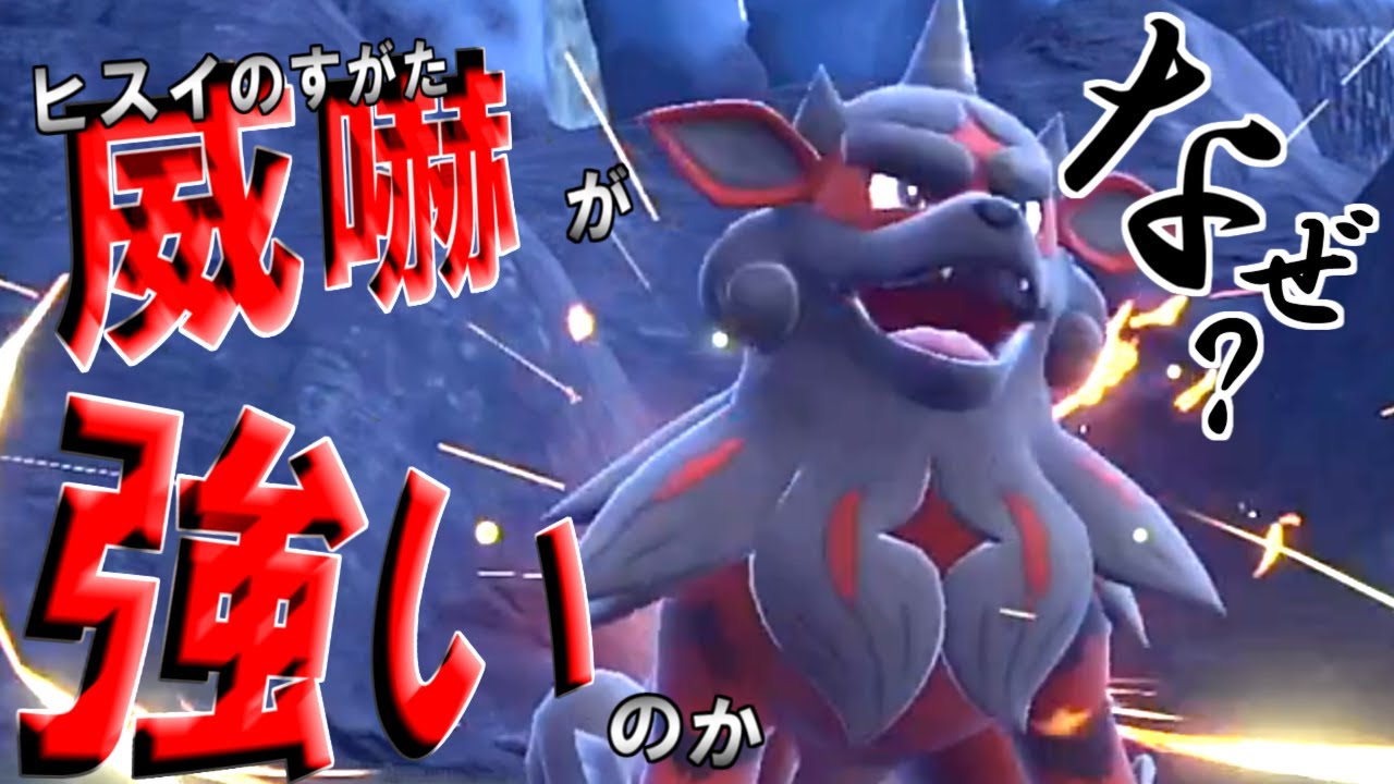 12/20レギュF仲間大会開きます【ポケモンSV】