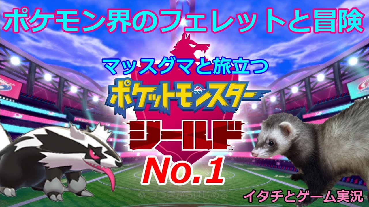 【ポケモン盾】マッスグマと冒険No.1【ポケモン界のフェレット】