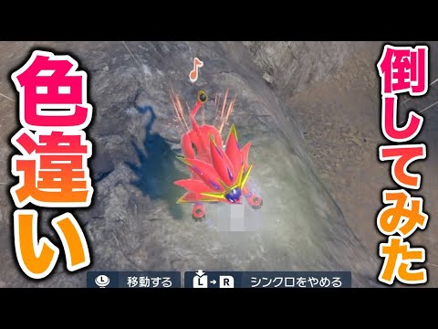 【検証】シンクロ状態で色違い厳選をして色違い〇〇を倒してみたwww【ポケモンSV/藍の円盤/ゼロの秘宝】
