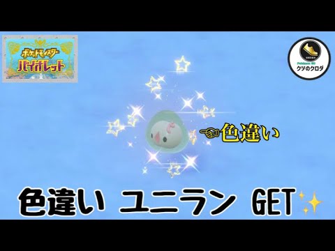 【ポケモンSV】Shiny Solosis GET✨  Solosis → Duosion → Reuniclus Evolve 🔥