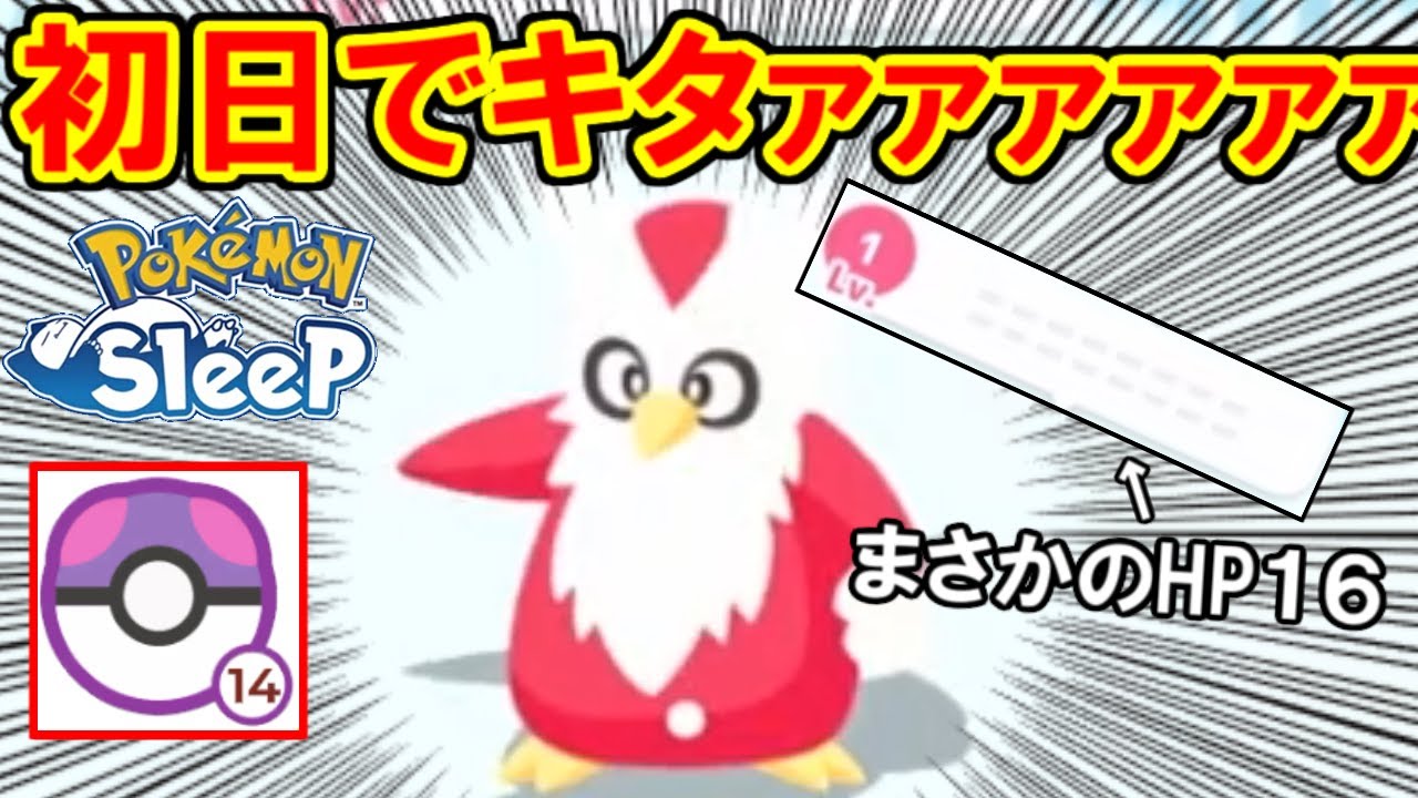 デリバード普通に高級ポケモンで草。【ポケモンスリープ】