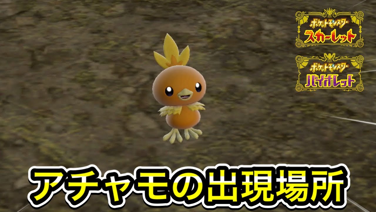 【ポケモンSV】アチャモの入手方法！出現場所まで案内します