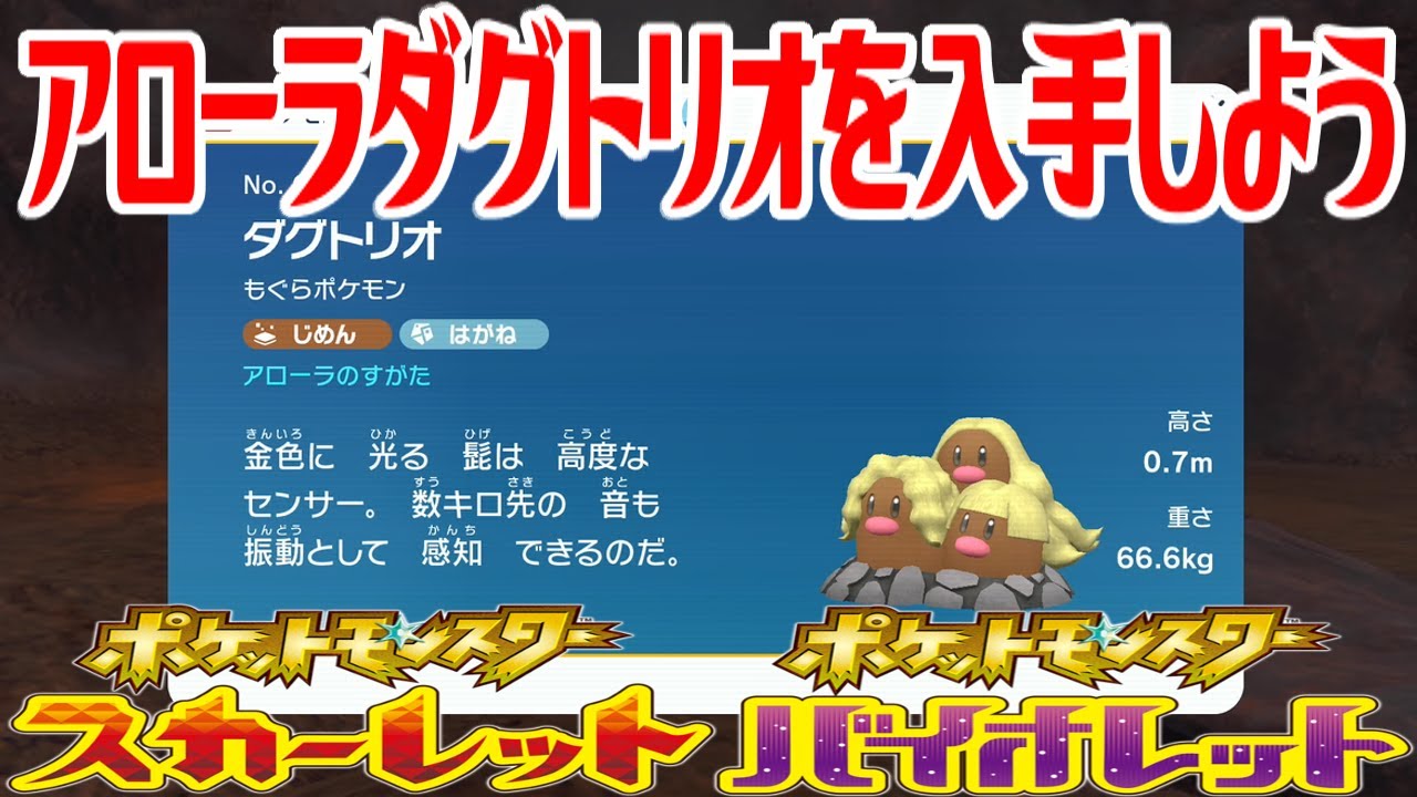 【ポケモンSV】アローラダグトリオを入手しよう【ポケットモンスター スカーレット・バイオレット ゼロの秘宝 藍の円盤】Pocket Monsters