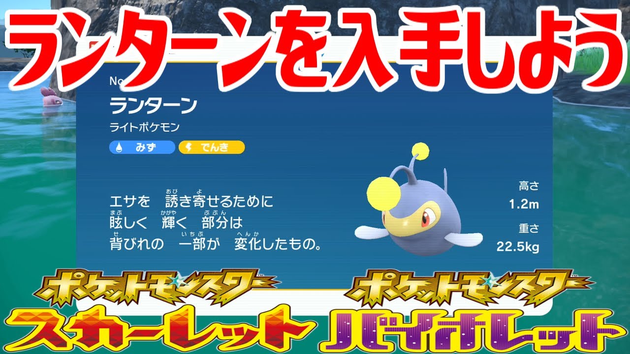 【ポケモンSV】ランターンを入手しよう【ポケットモンスター スカーレット・バイオレット ゼロの秘宝 藍の円盤】Pocket Monsters