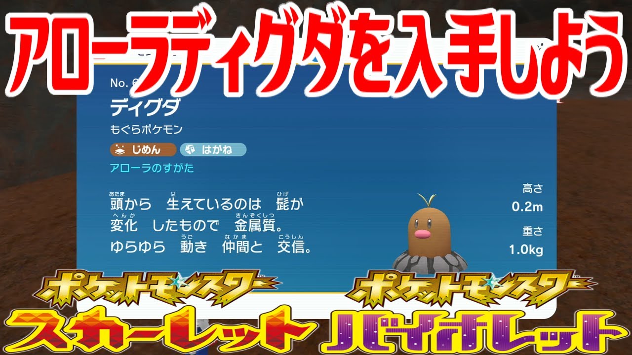 【ポケモンSV】アローラディグダを入手しよう【ポケットモンスター スカーレット・バイオレット ゼロの秘宝 藍の円盤】Pocket Monsters