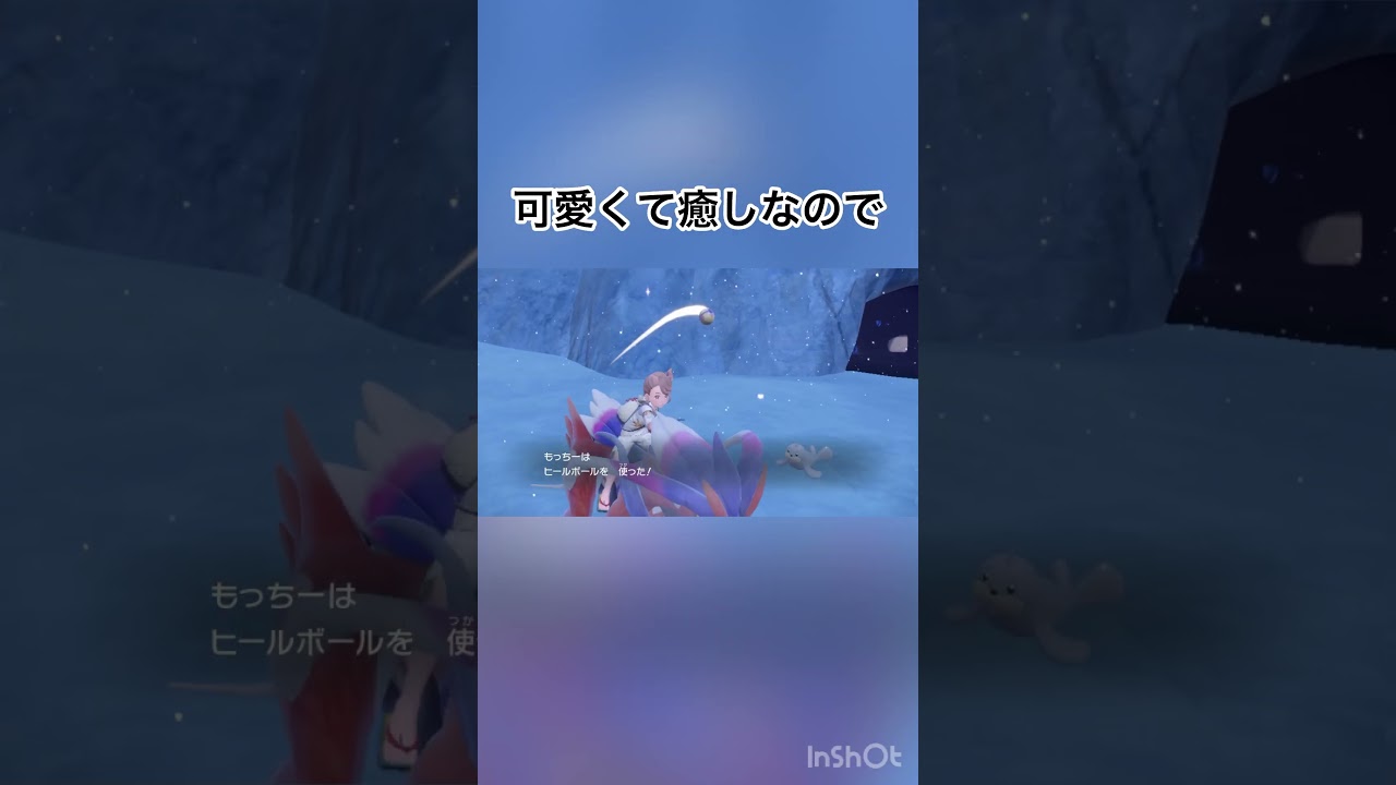 【ゼロの秘宝/藍の円盤】　色違いパウワウをゲットー！あどけないお顔が可愛い😻　【ポケモンSV/PokemonSV】