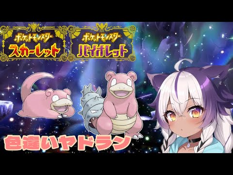 【ポケモンSV】色違いヤドン → ヤドラン【ポケットモンスタースカーレットバイオレット】