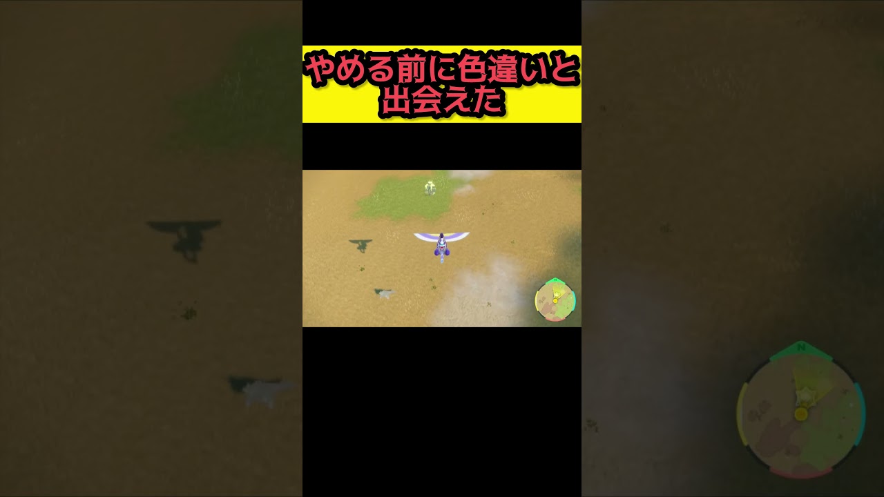 色違いサイドンと遭遇【ポケモンSV ポケモンスカーレット/バイオレット】 #shorts #pokemonscarlet  #pokemonviolet