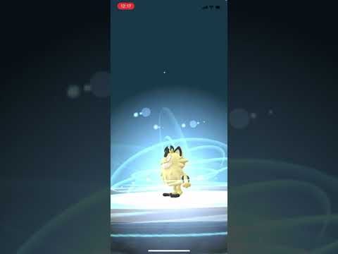 【ポケモンGO】色違いガラルニャースをニャイキングに進化！/SHINY Galarian Meowth evolved Perrserker #shorts