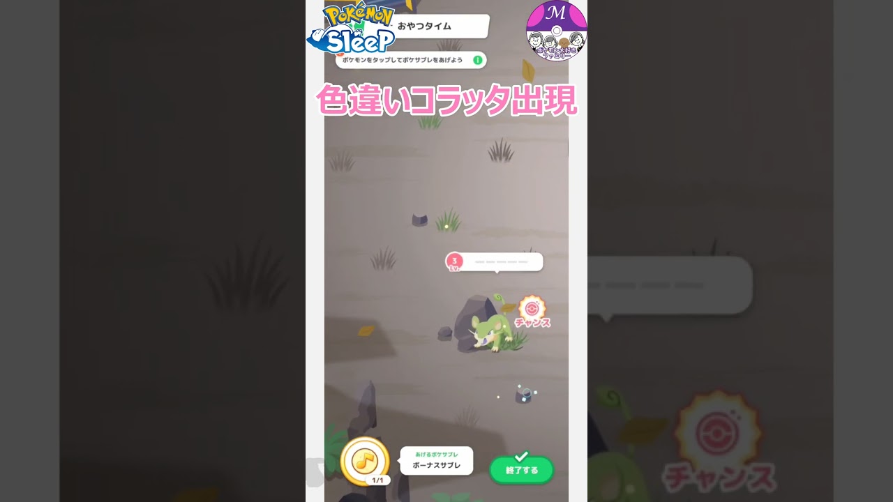 【ポケスリ】色違いコラッタが出現！！【ポケモンスリープ】#ポケモンスリープ #pokemonsleep #ポケモン大好き #shorts