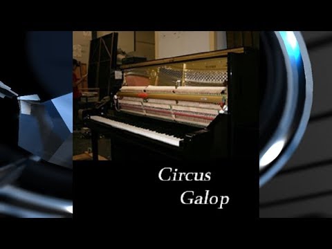 【BMS】サーカス・ギャロップ【Autoplay】