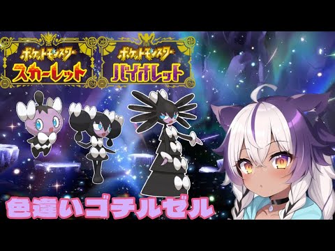 【ポケモンSV】色違いゴチム → ゴチミル → ゴチルゼル【ポケットモンスタースカーレットバイオレット】
