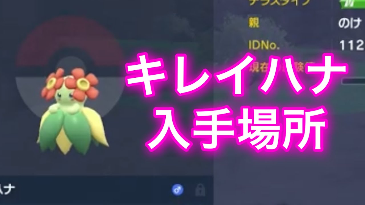 【ポケモンSV】【藍の円盤】キレイハナ入手場所