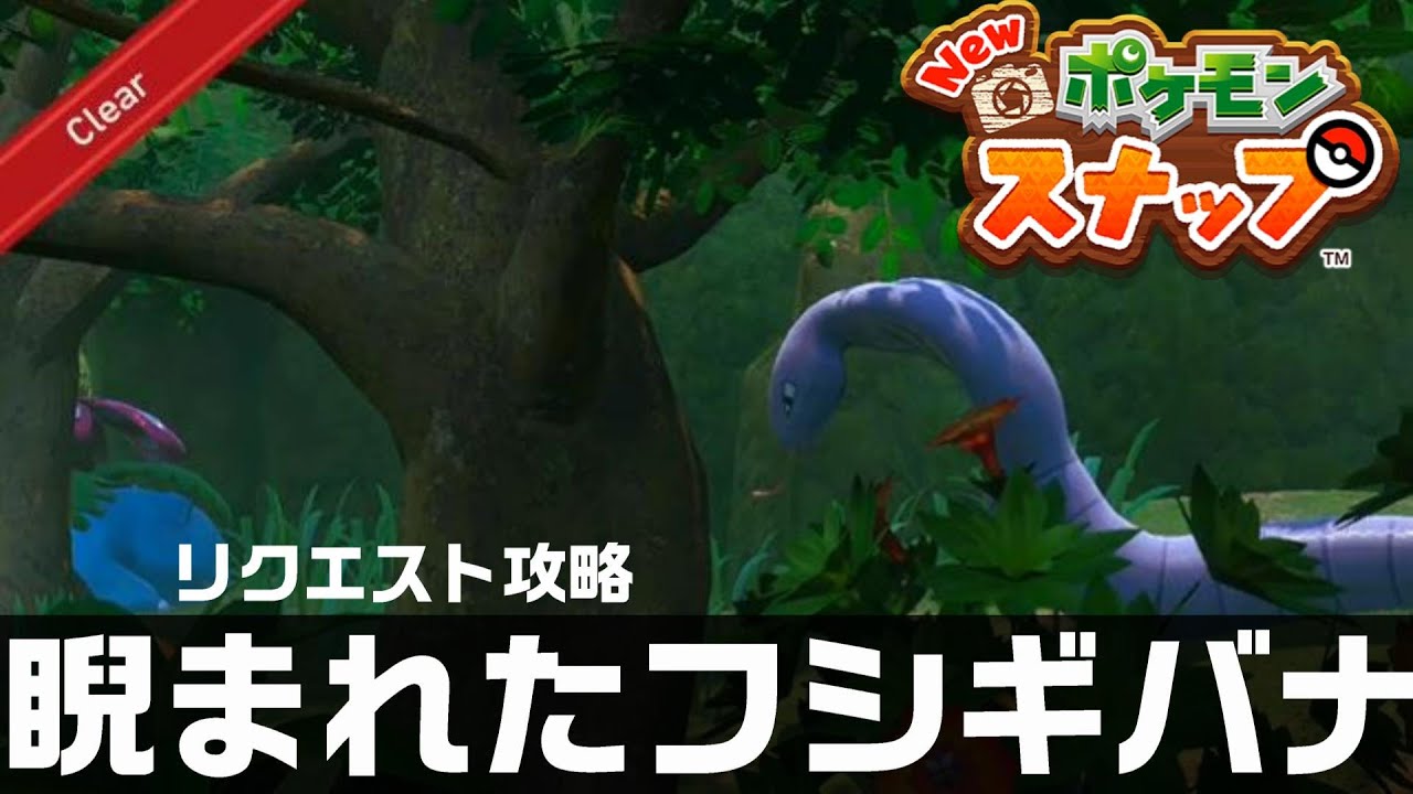 睨まれたフシギバナ【Newポケモンスナップ・リクエスト攻略】