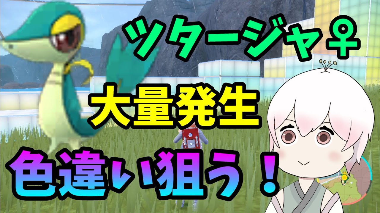 【ポケモンSV】ツタージャ大量発生！♀色違い出るまで！【藍の円盤】