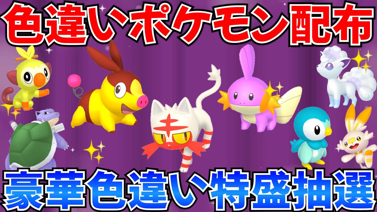 【ポケモンSV 色違いポケモン配布】色 ニャビー ポカブ アローラロコン ポッチャマ  ヒコザルなど抽選 100匹以上 #ライブ #ポケモン配布