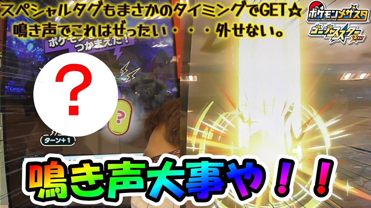 【GS3だんSP&草むら光る】草むらから鳴き声が！！#メザスタ　#GS3だん　#STB　#タッグバトル　#草むら　#黄金の柱　#スペシャルタグ