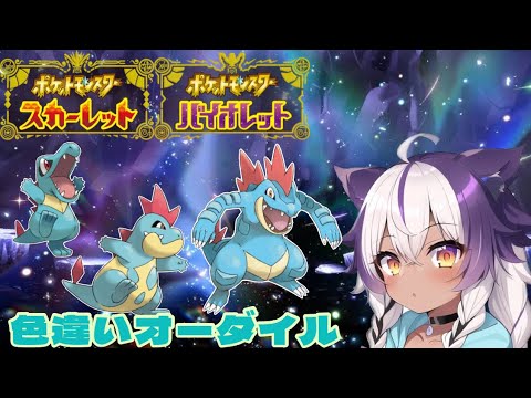 【ポケモンSV】色違いワニノコ → アリゲイツ → オーダイル【ポケットモンスタースカーレットバイオレット】