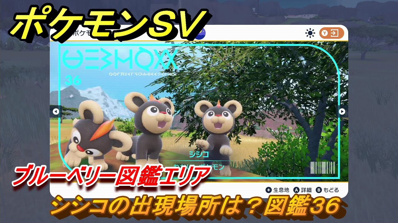 ポケモンＳＶ　シシコの出現場所は？図鑑３６　ブルーベリー図鑑エリア　＃１７９　【DLCゼロの秘宝　碧の仮面・藍の円盤】