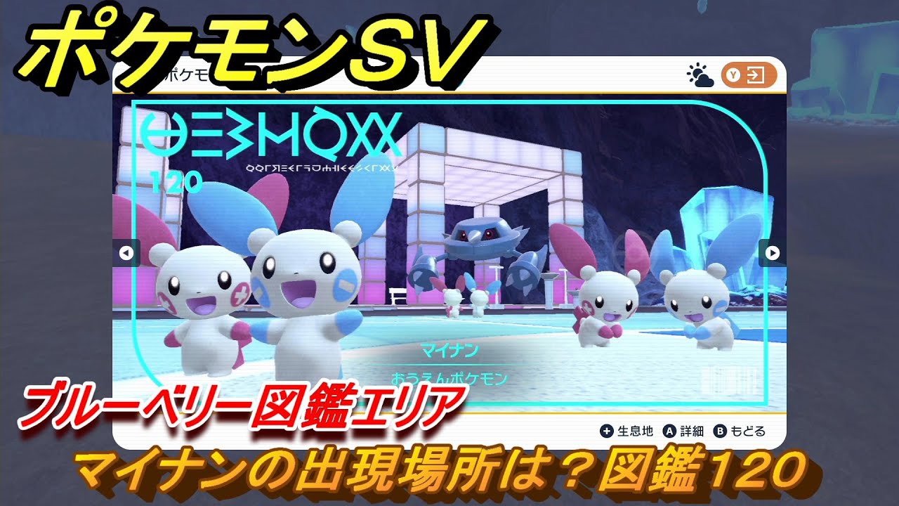 ポケモンＳＶ　マイナンの出現場所は？図鑑１２０　ブルーベリー図鑑エリア　＃１２７　【DLCゼロの秘宝　碧の仮面・藍の円盤】