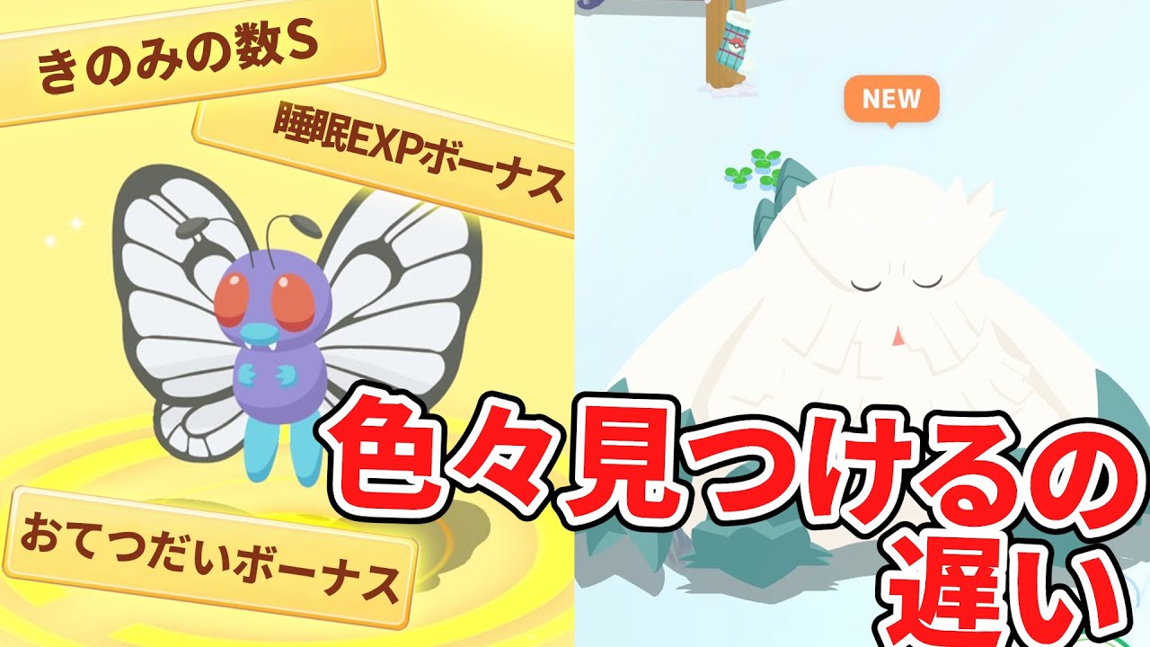 やっっと理想のバタフリー見つけました！【ポケモンスリープ】